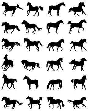 Orses silhouettes Stock Illustration