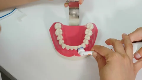 Orthodontist showing how to clean teeth using electric toothbrush and jaw model Stock Footage 140873243