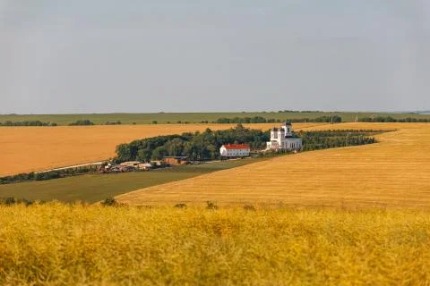 Orthodox Church among the fields of wheat. White Church and outbuildings. Agr Stock Photos