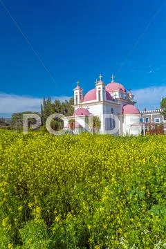 Orthodox Church and Mustard Field near Galilee Sea Stock Photos