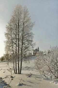 Orthodox monastery behind of bare birches in deep snow Stock Photos