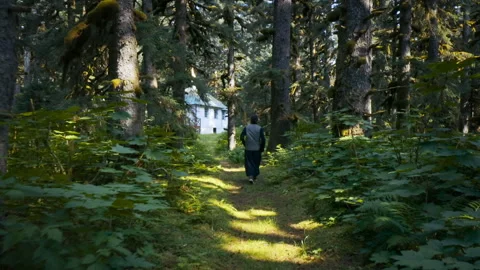Orthodox priest walking a forest path to a church in alaska Stock Footage 328352419