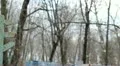 Orthodox (Russian) Cemetery HD 동영상