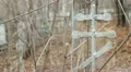 Orthodox (Russian) Cemetery HD-videomateriaal