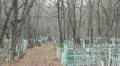 Orthodox (Russian) Cemetery Vídeos en HD