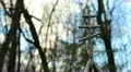 Orthodox (Russian) Cemetery HD Footage