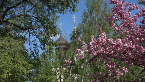 Orthodox temple surrounded by Blooming Trees on Easter Day Видео 93518593