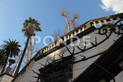 Orto botanico di napoli Stock Photos