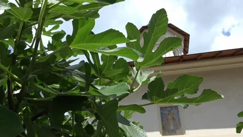 Ortodox churche image Stock Footage 130863418