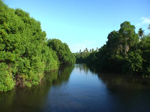 Ortoire River Video stock 25953240
