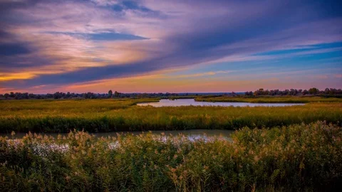 Os2 스톡 동영상 85223761