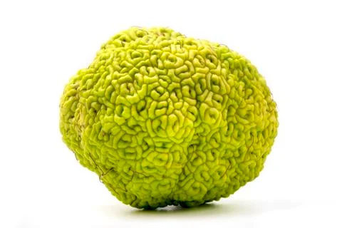 Osage orange Stock Photos