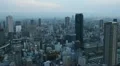 Osaka Aerial View Office Buildings Towers Crowded City Modern Architecture Dusk HD Footage