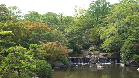 Osaka Botanical Vidéo 80046067