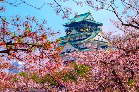 Osaka castle with cherry blossom. Japanese spring beautiful scene ,Osaka,Japan Stock Photos