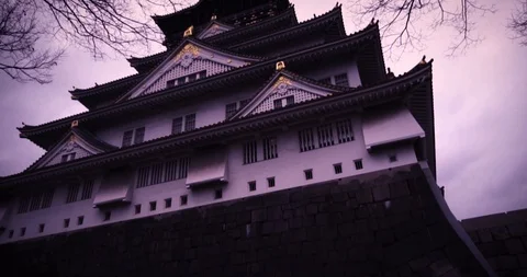 Osaka Castle Stock Footage 87138209