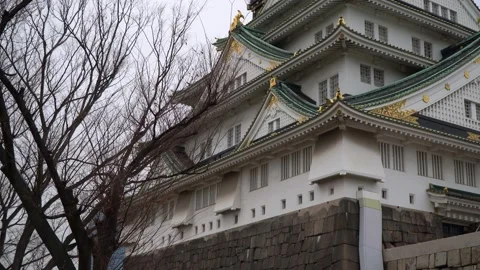 Osaka Castle Video stock 131006430