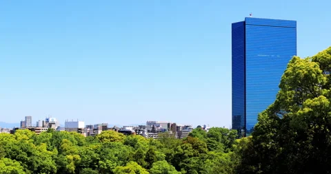 Osaka Castle Park Видео 295764259