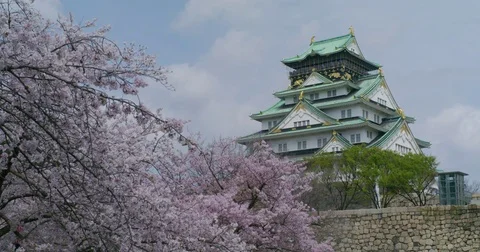 Osaka Castle in Spring with Cherry Blossoms Video stock 76753500