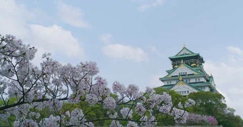 Osaka Castle in Spring with Cherry Blossoms Video stock 76753562
