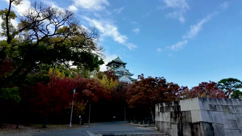Osaka Castle Surrounded by Moat and Autumn Foliage Stock Footage 327881093