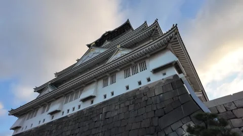 Osaka Castle Surrounded by Moat and Autumn Foliage Stock Footage 327881999