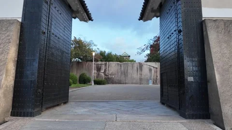 Osaka Castle Surrounded by Moat and Autumn Foliage Stock Footage 327882004