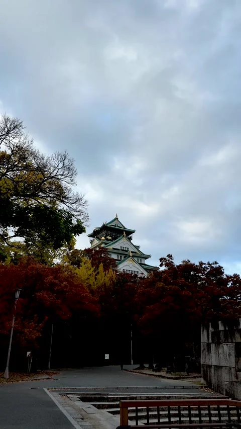 Osaka Castle Surrounded by Moat and Autumn Foliage Stock Footage 327882090