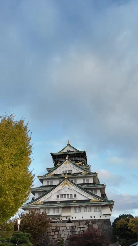 Osaka Castle Surrounded by Moat and Autumn Foliage Stock Footage 327882490