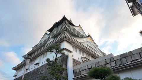Osaka Castle Surrounded by Moat and Autumn Foliage Stock Footage 327882739