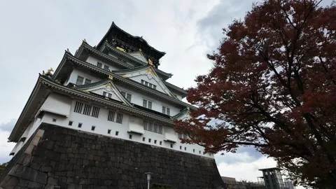 Osaka Castle Surrounded by Moat and Autumn Foliage Stock Footage 327883571