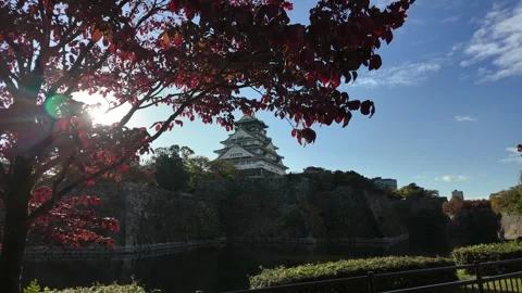 Osaka Castle Surrounded by Moat and Autumn Foliage Stock Footage 327883614