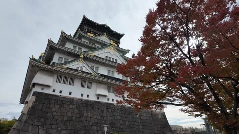 Osaka Castle Surrounded by Moat and Autumn Foliage Stock Footage 327883769