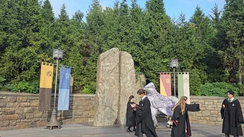 Osaka Universal Studios Japan Mario Nintendo World Harry Potter Theme Park [8K] Stock Footage 282163113