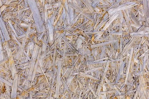 Osb plate Stock Photos