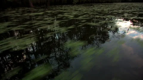 Osc1 02 reflection sky bayou Video stock 23154481