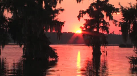 Osc1 23 sunset just over trees Video stock 23197191