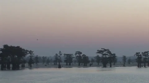 Osc2 05 basin pan Video stock 23206903