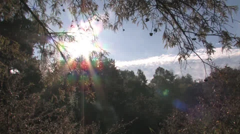 Osc2 06 sunrays Video stock 23207527