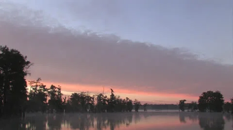 Osc2 07 blackbird dip Video stock 23210586