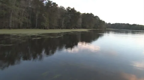Osc2 08 down the bayou Video stock 23210913