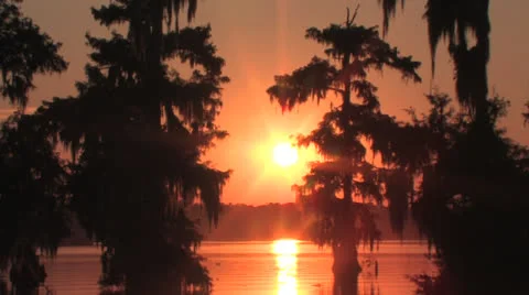 Osc2 21 gold sunset pull Video stock 23214576