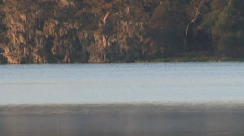 Osc2 23 sip of coffee 動画素材 23214554