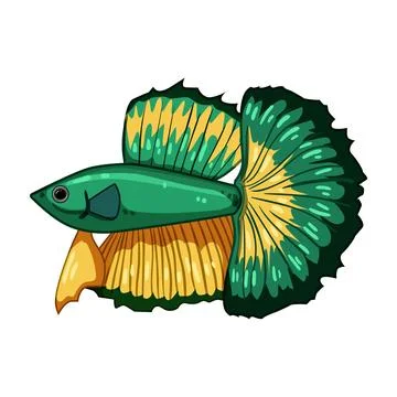 Oscar exotic fish cartoon vector illustration Stock Illustration