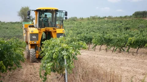 Óscar Lopera Martos Stock Footage 161324935