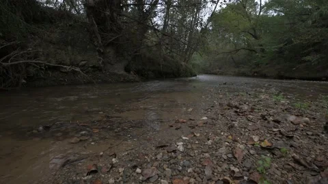 Óscar Lopera Martos Stock Footage 220123741