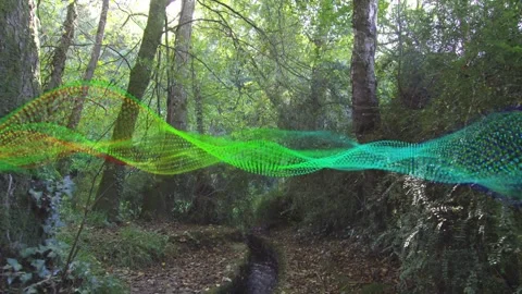 Oscillating animated waveform moving along leaf trail over small stream, Stock Footage 332428841