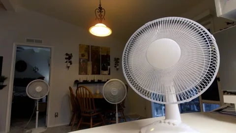 Oscillating fans in a heat wave Video stock 245779874