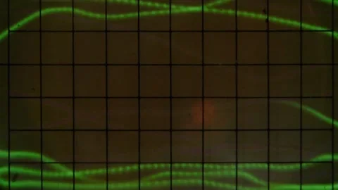 Oscillograph. Data graph. Green abstract glowing pattern. Statistics pattern. Stock Footage 142684934