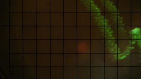 Oscillograph. Data graph. Green abstract glowing pattern. Statistics pattern. Stock Footage 142684951